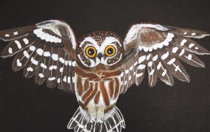Chelmsford High School Museum of American Bird Art