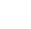 Chelmsford Lion Logo