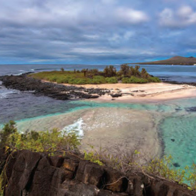 Chelmsford High School World Languages-Galapagos Islands